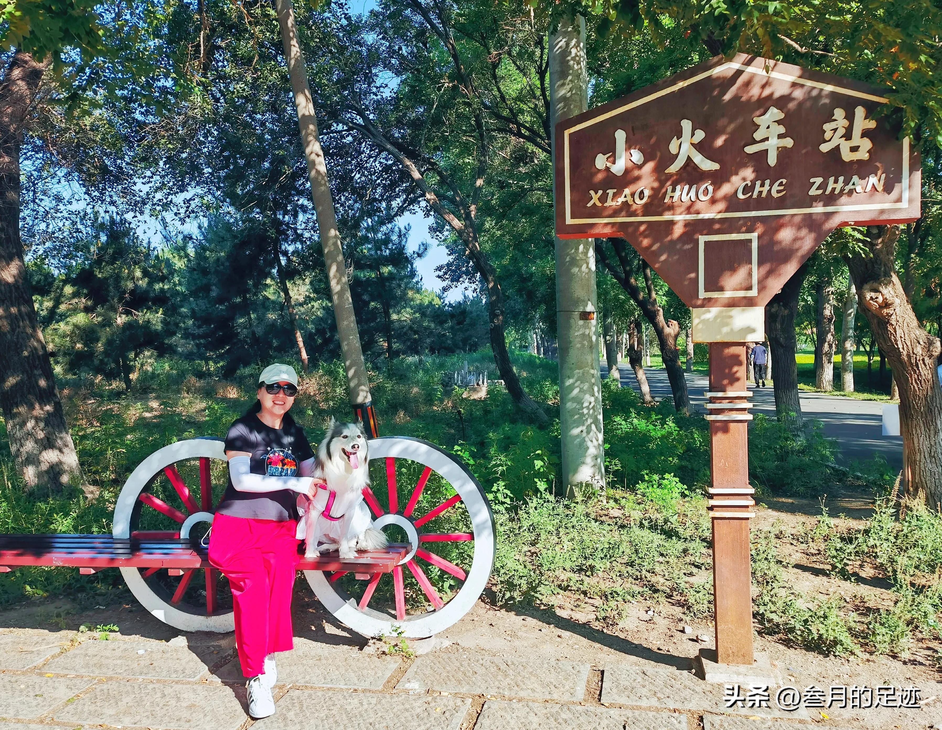 北京有哪些免费的大型公园,北京有铁道的公园