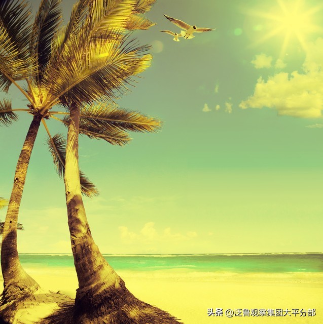 送200亿元仍遭外国毁约！350亿元项目建成后，总统却又登门道谢