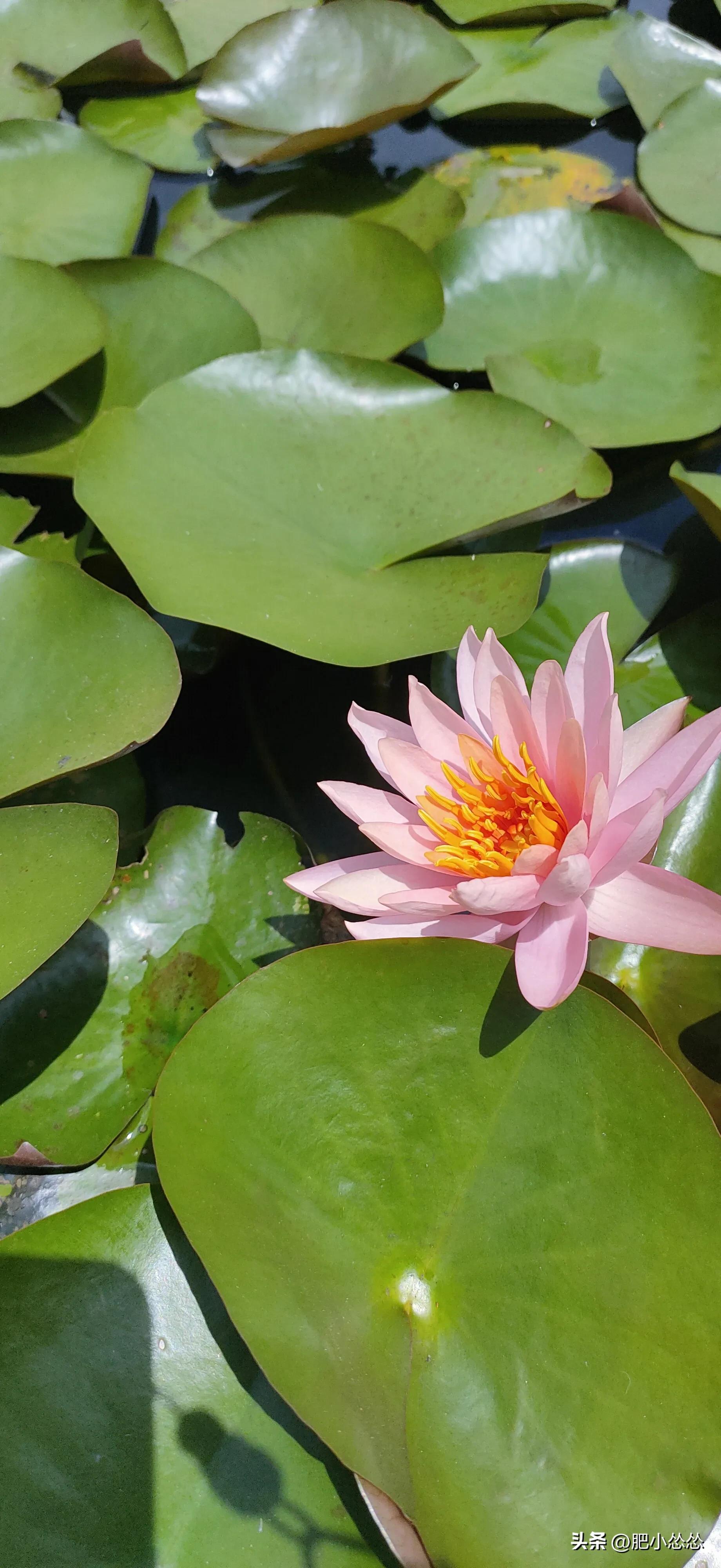 广州免费公园景点大全,广州石门公园门票价格