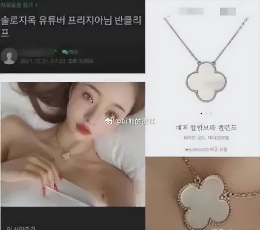 宋智雅在韩综片段 (宋智雅韩综视频)