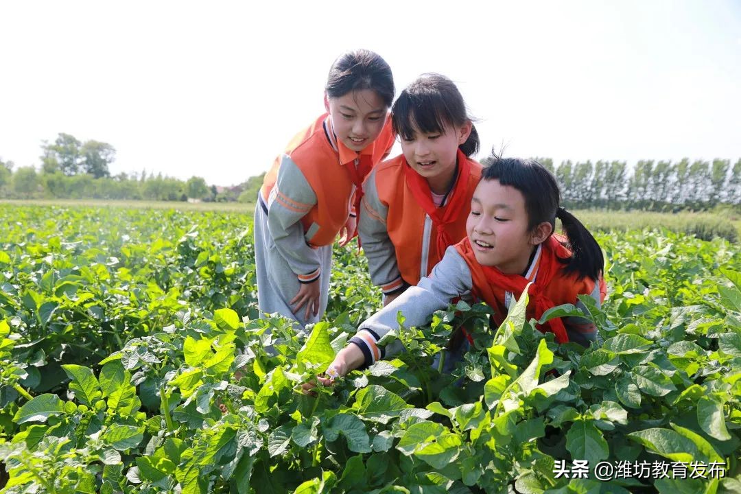 最新新闻周播报,新闻周播报完整版