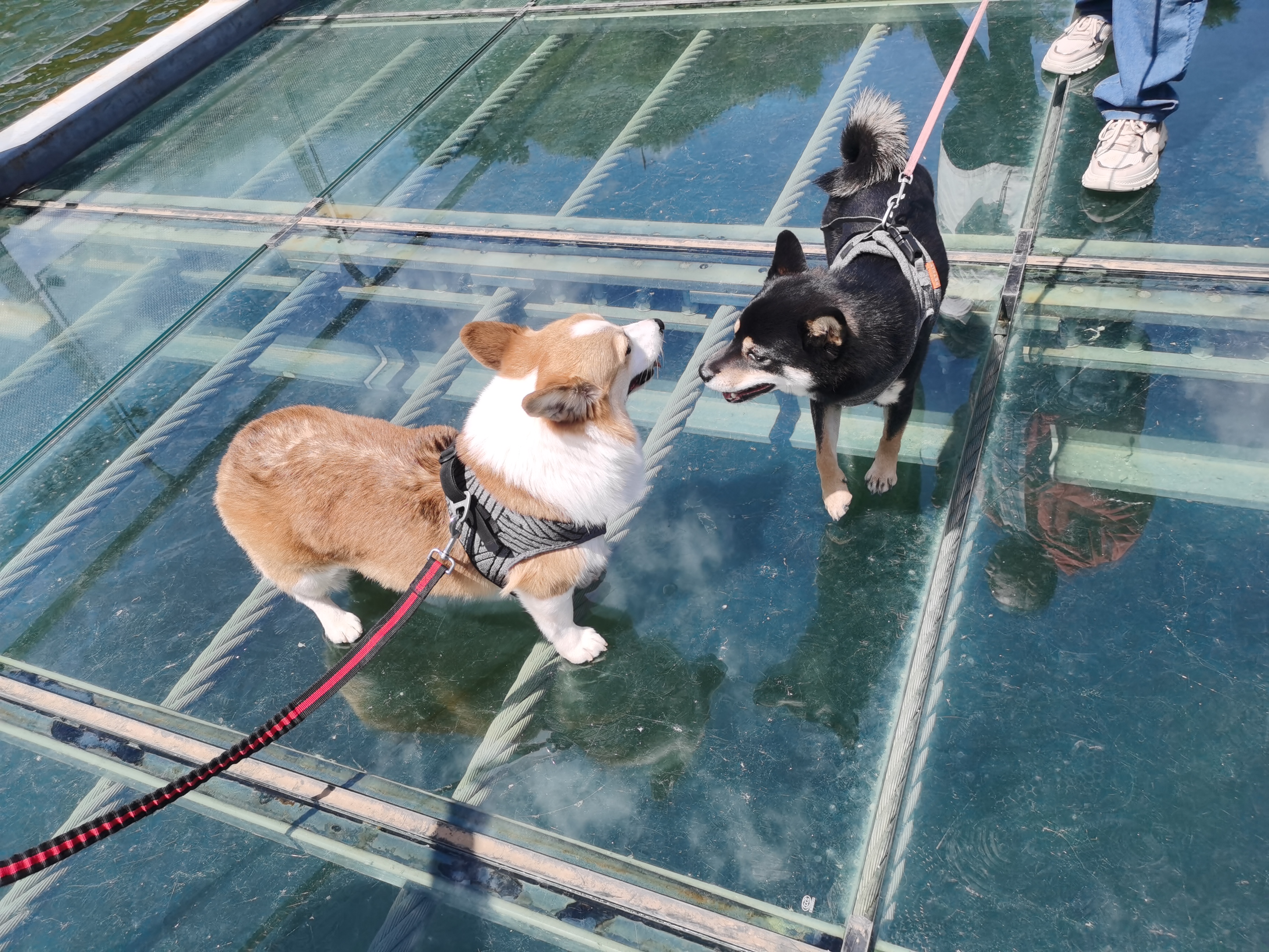 黄花城水长城旅游攻略,行走万里长城之旅