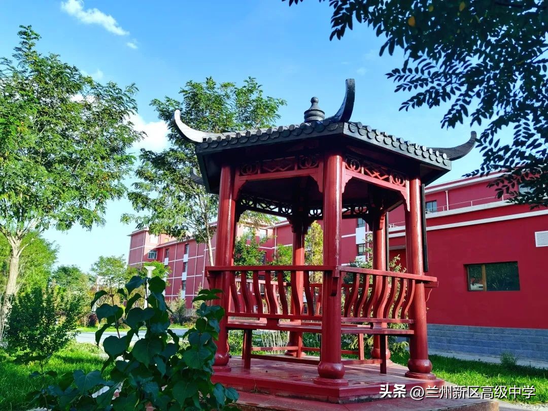 兰州新区高级中学学子在信息素养提升实践活动中斩获多个奖项