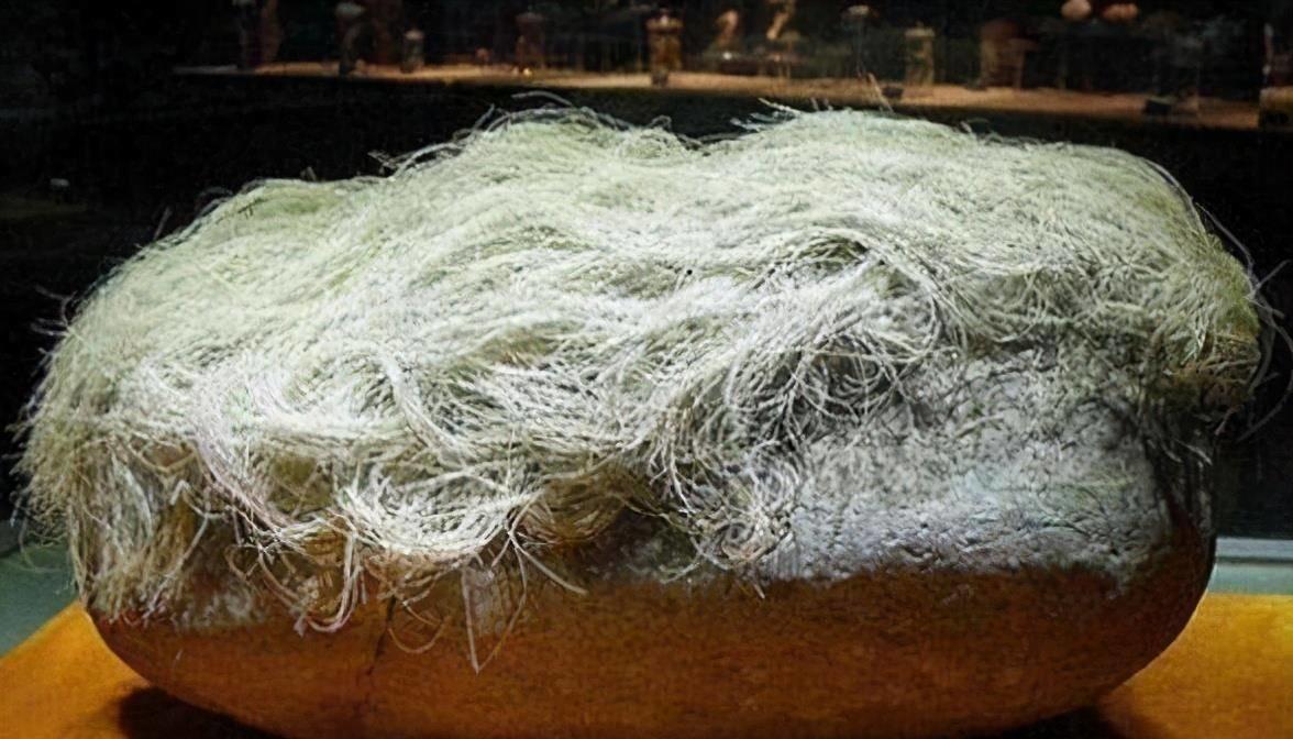 老汉捡到一长满白发石头,辽宁老农捡到一块长头发的石头