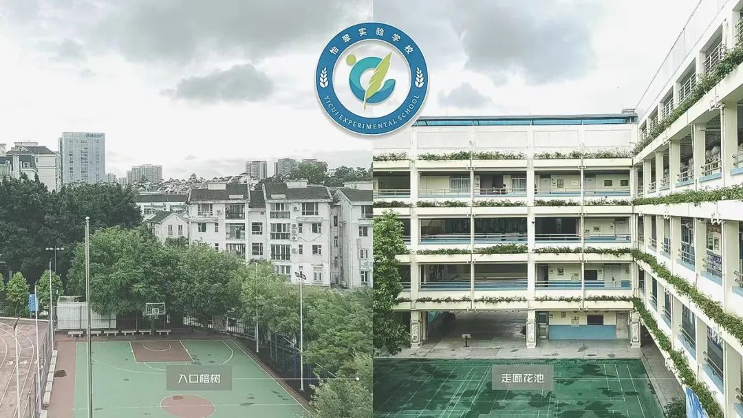 龙岗区怡翠实验学校设计招标,怡翠实验学校在哪招标