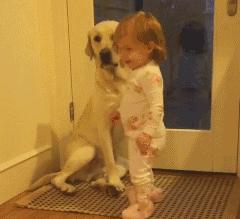 什么狗性格比较稳定又暴力,常见狗中哪种狗战斗力最强