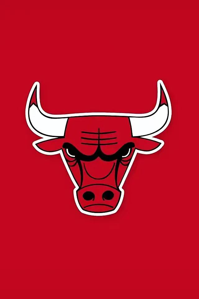 nba球队历史最佳阵容老鹰队,nba球队介绍之芝加哥公牛