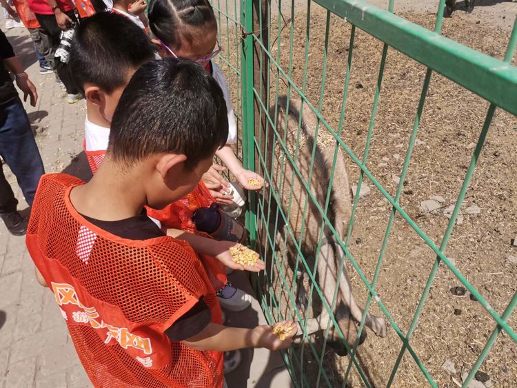 助力乡村振兴暑假研学实践活动,考察农耕田园研学基地目的