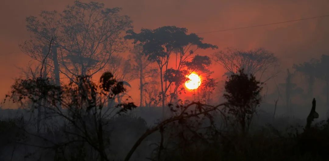 巴西总统到上海了没有,在美国后回到中国的人