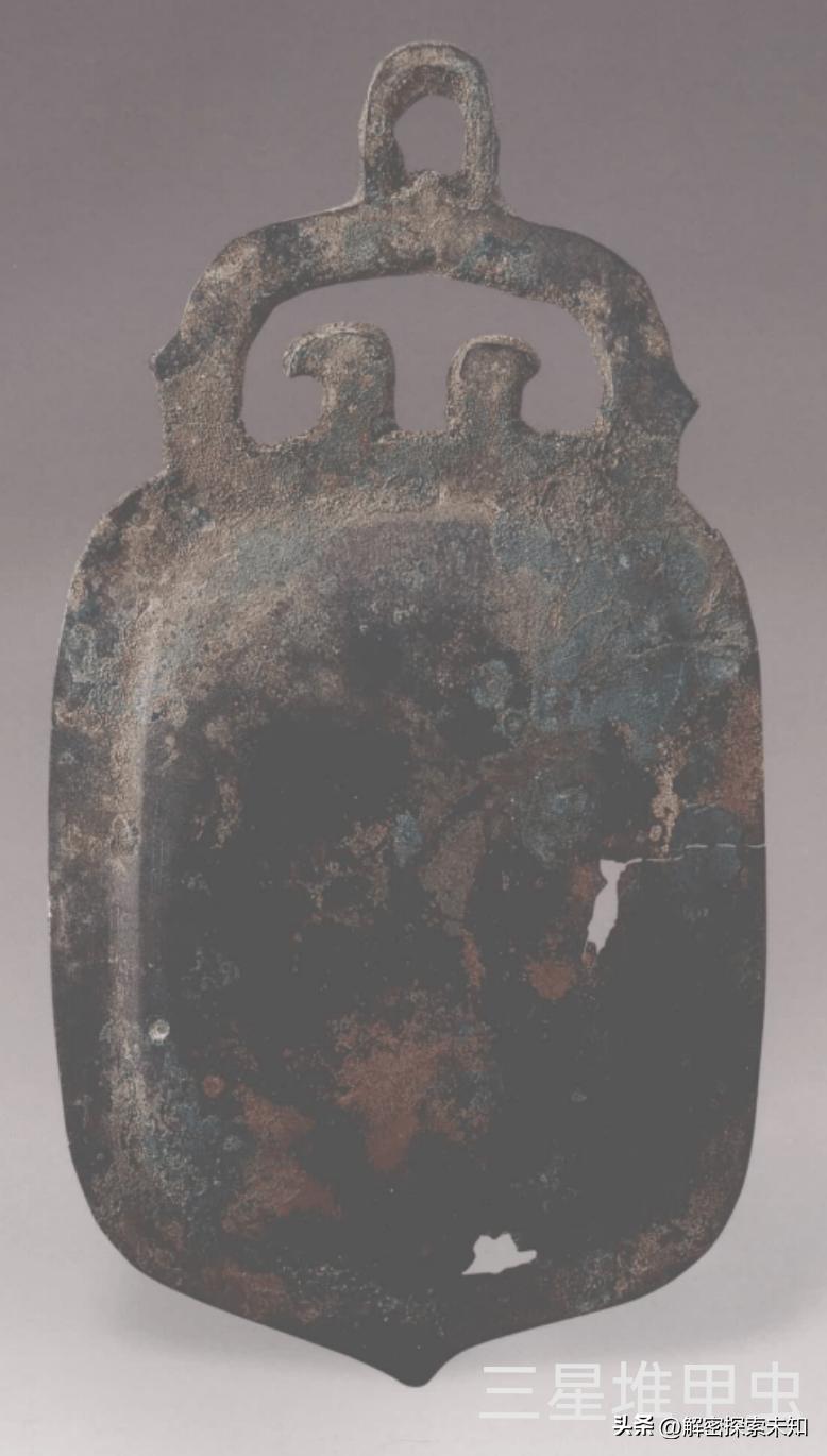 甲虫进化史讲解,甲虫进化史哪些虫真实存在