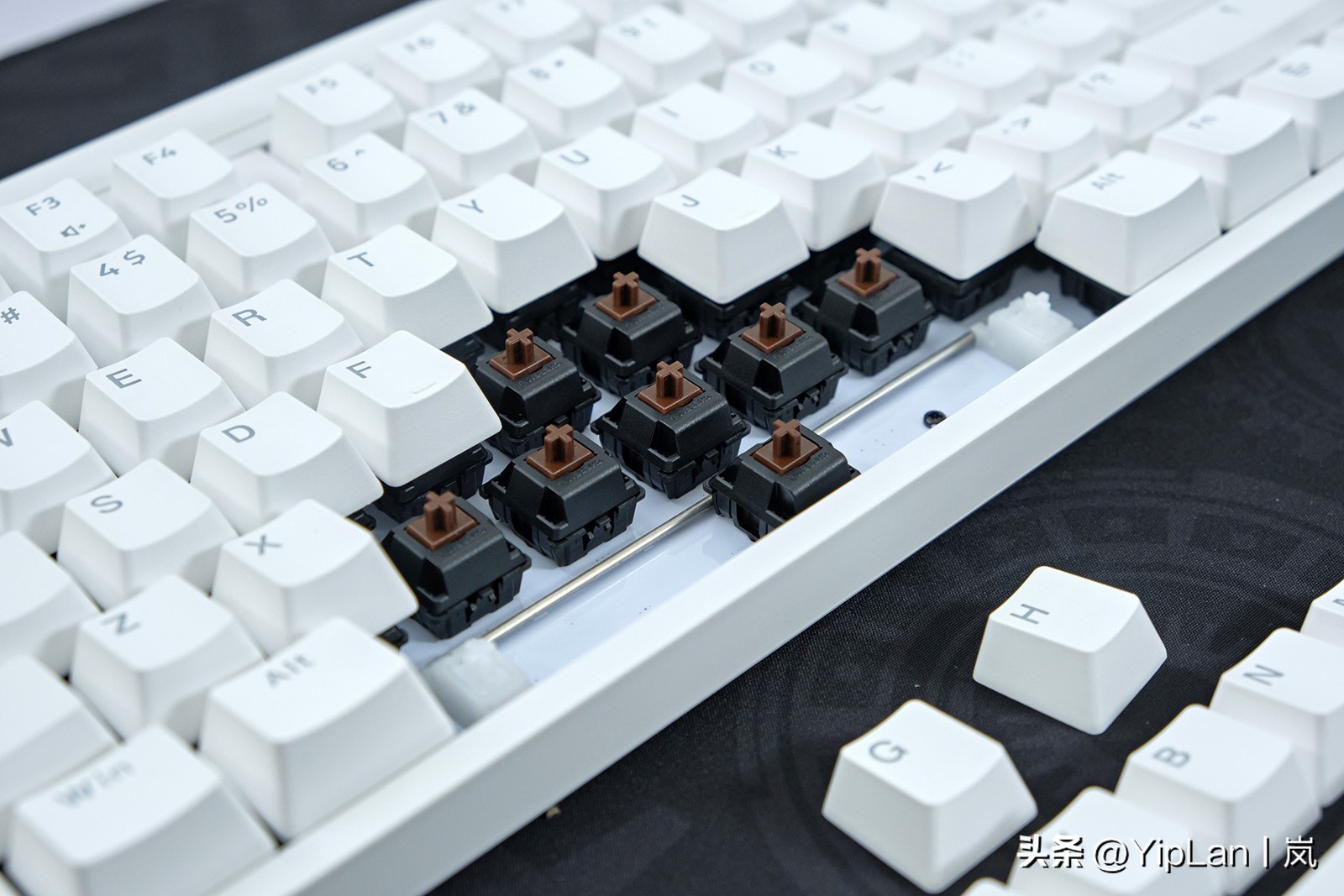 cherry澶栬鎺ㄨ崘,鍞湁淇′话涓嶅彲杈滆礋