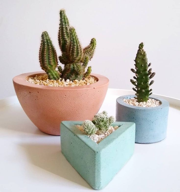 家庭可以用水泥花盆种花吗,在家种花什么花盆最好看