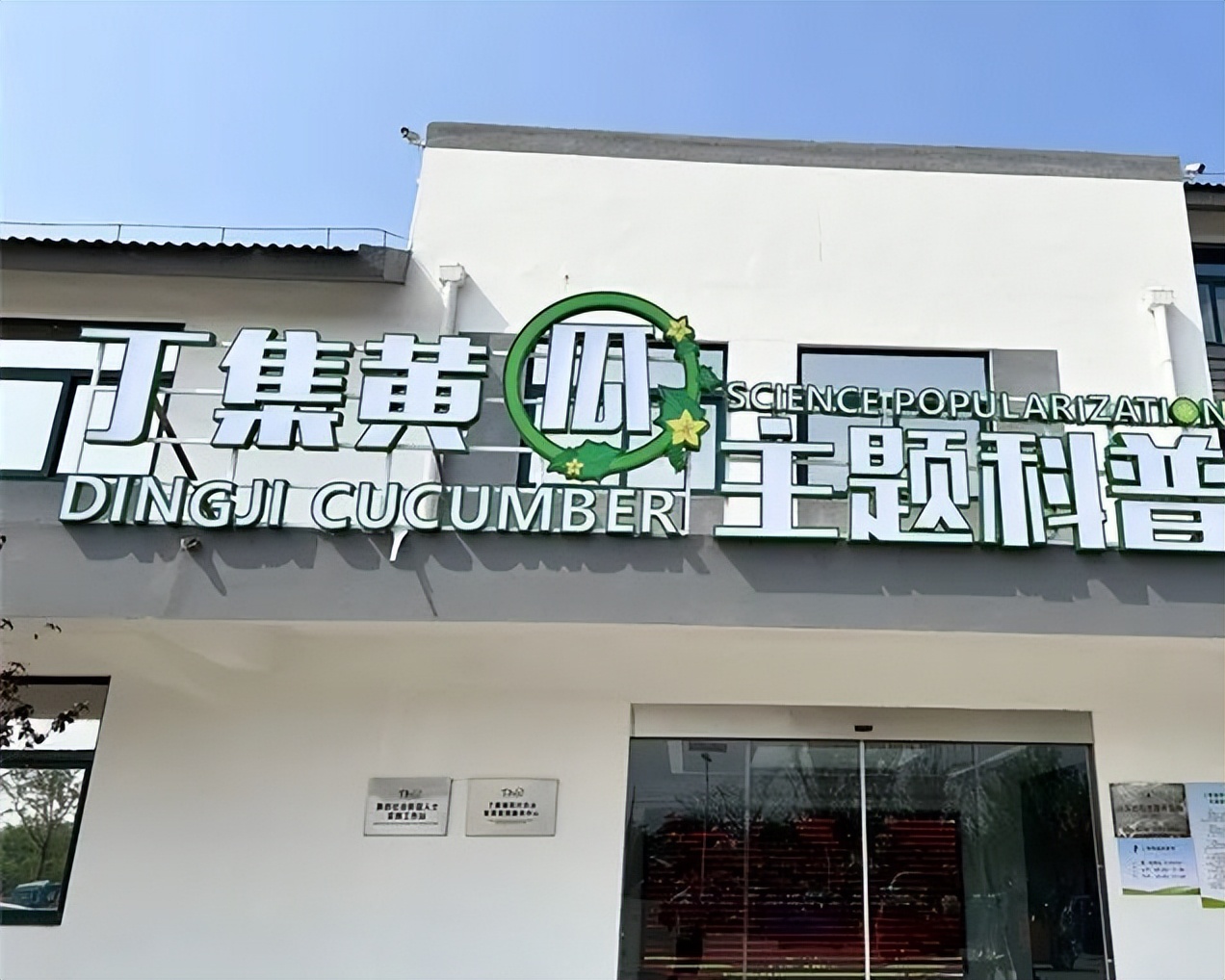 淮安农业种植致富项目,黄瓜种植致富经历