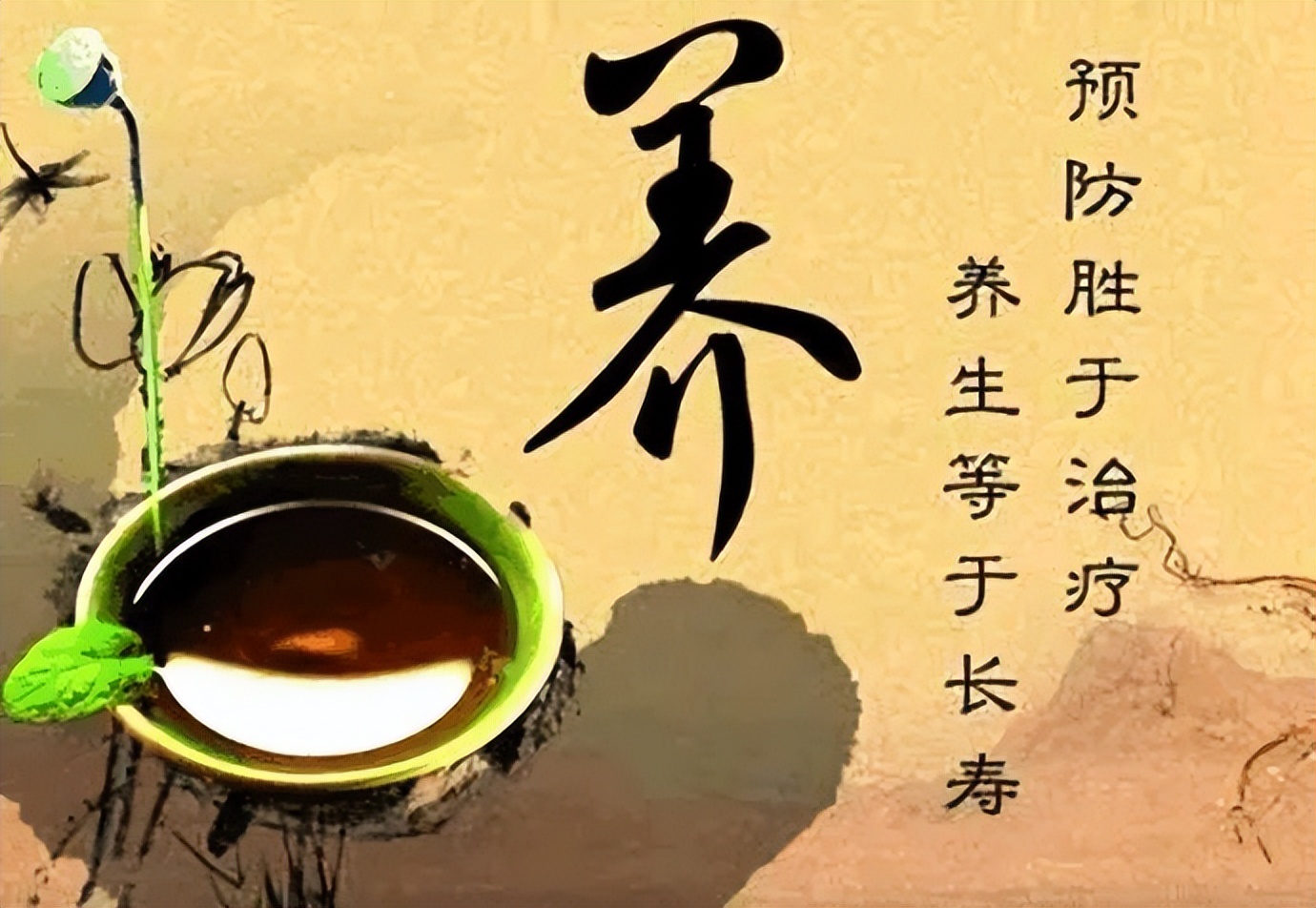 道教养生十二长生秘诀,道教养生十大智慧