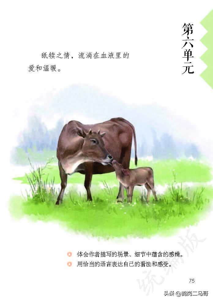 暑假预习语文用什么书,暑假预习的课文开学还要预习吗