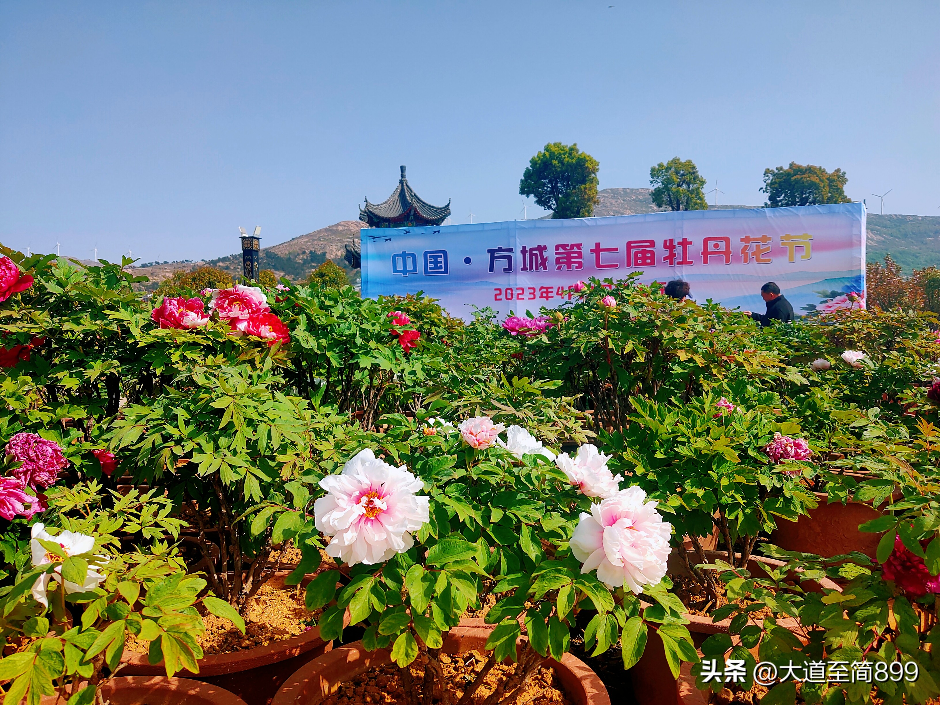 和宾果一起抓住春天的尾巴,与五菱缤果开启一场春日之旅