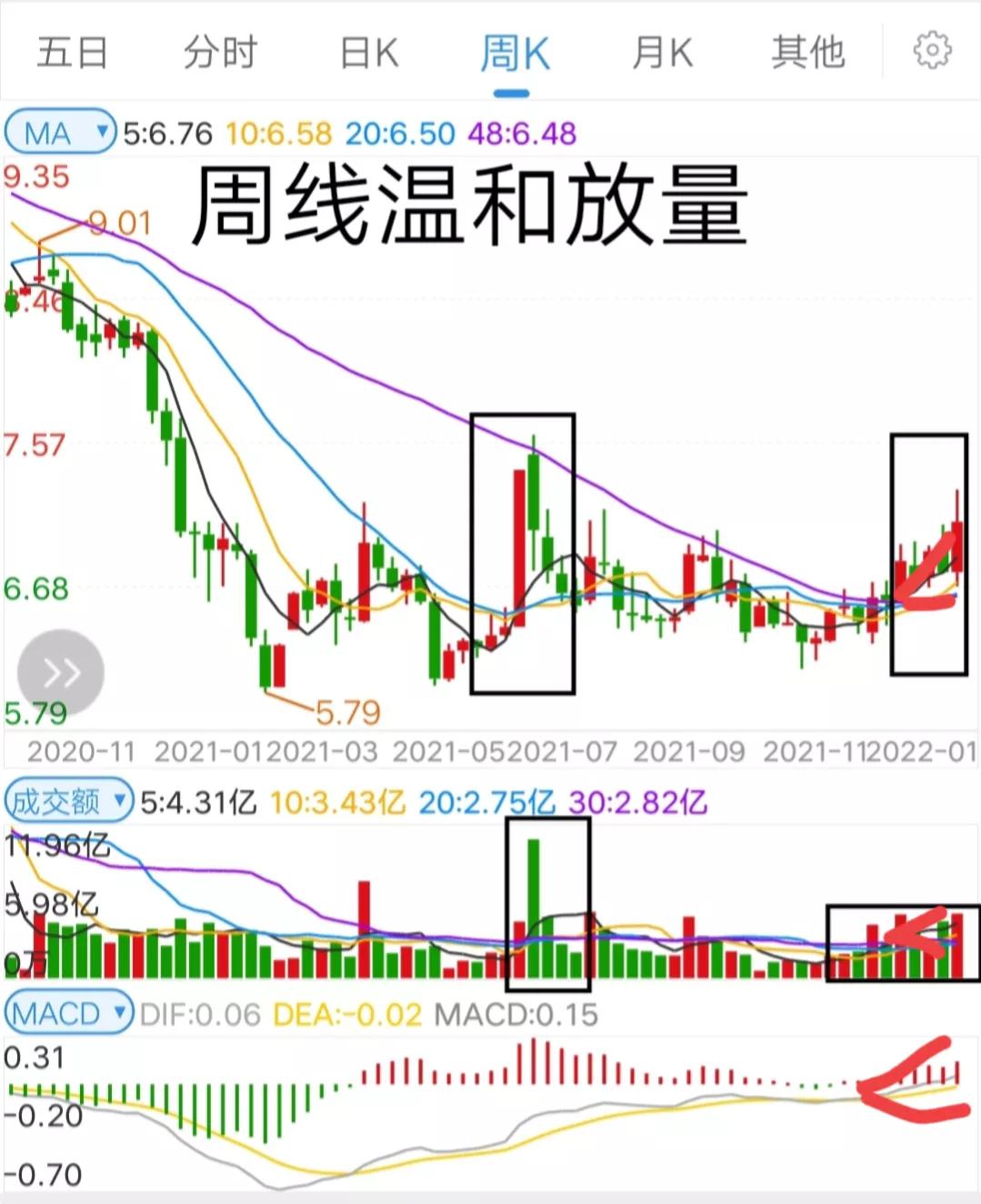 浙大网新股票走势如何,浙大网新股票今日分析