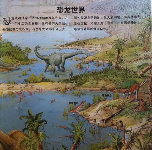 儿童科普绘本启蒙认知,读儿童启蒙读物