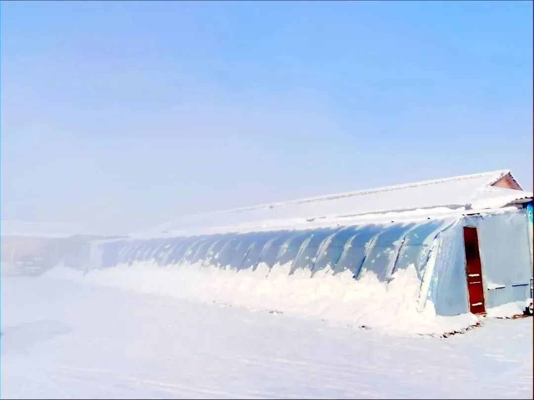 吉地过年旅游怎么样,吉地过年有什么好玩的