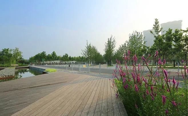 南京栖霞区免费游玩景点推荐,南京一百个免费景点