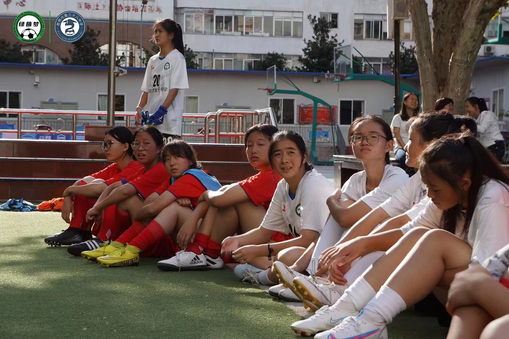 7岁青少年足球第一堂课,绿茵梦想足球操