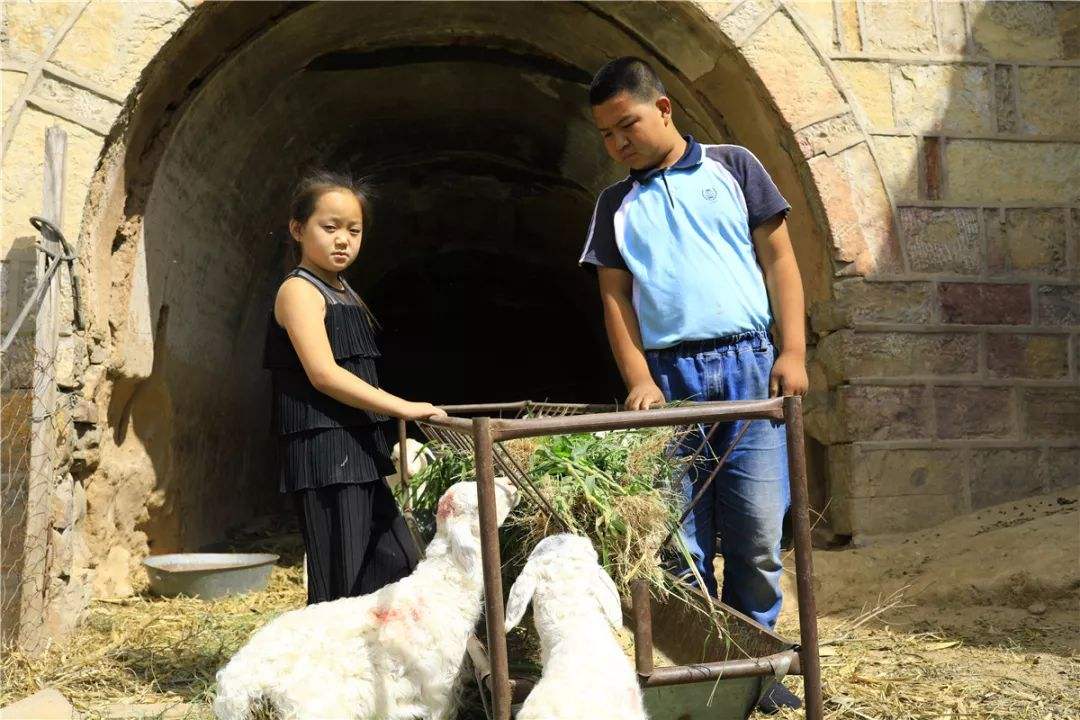 内蒙古煤矿富豪,内蒙古煤矿大亨