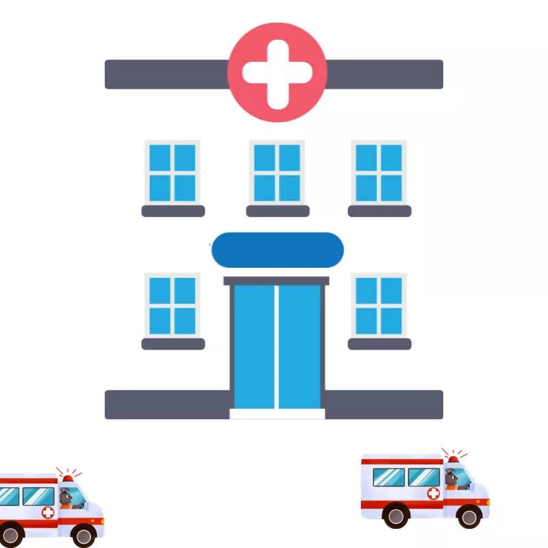 门诊慢特病，这些知识你要了解