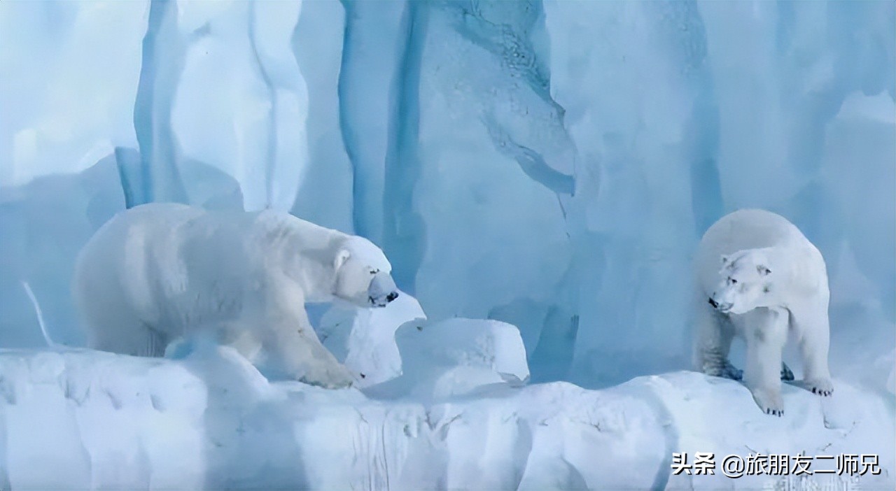 去珠海长隆海洋王国攻略三天两夜,珠海长隆海洋王国3天旅游攻略