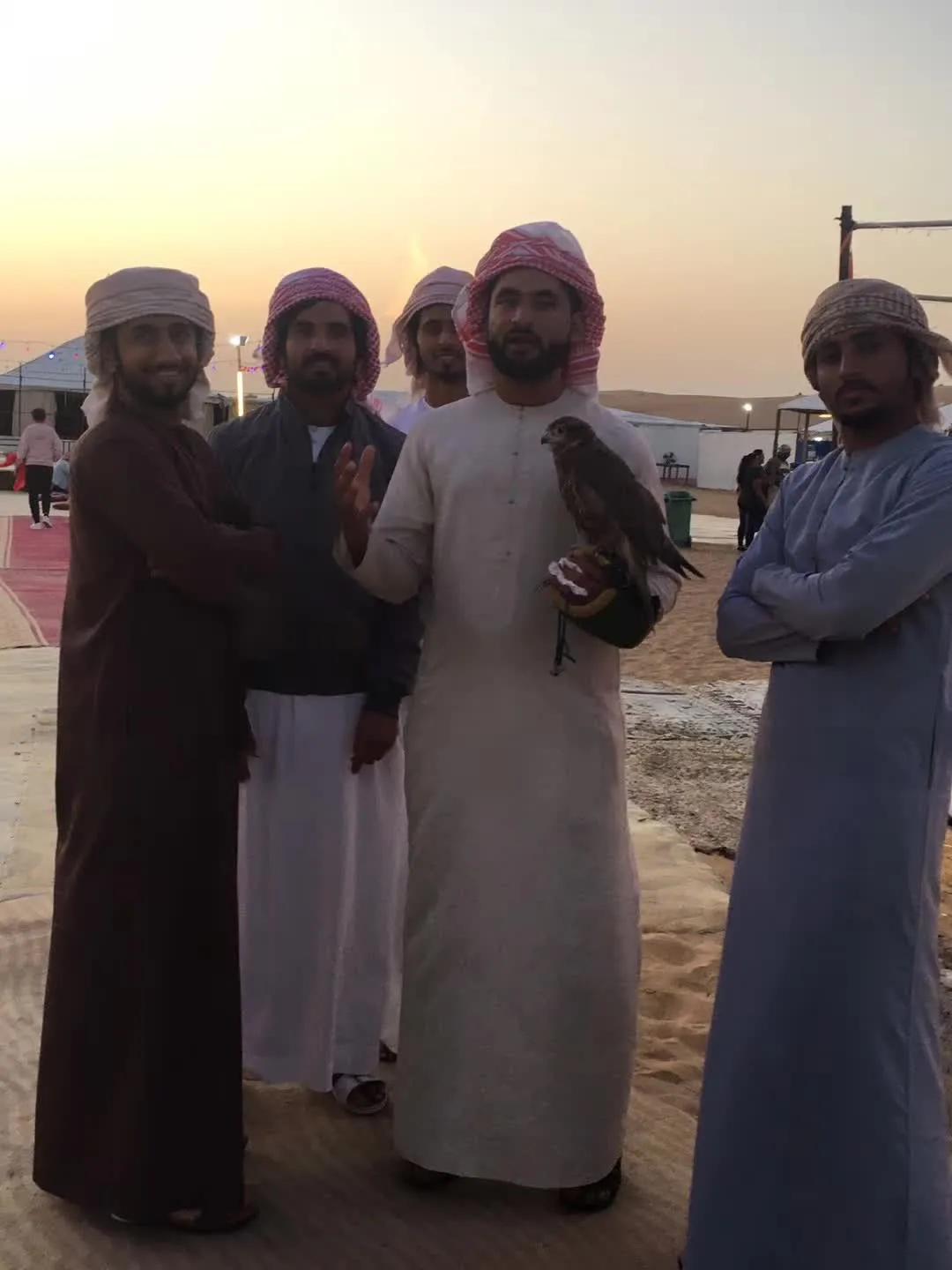 迪拜旅行攻略 (迪拜流浪日记)