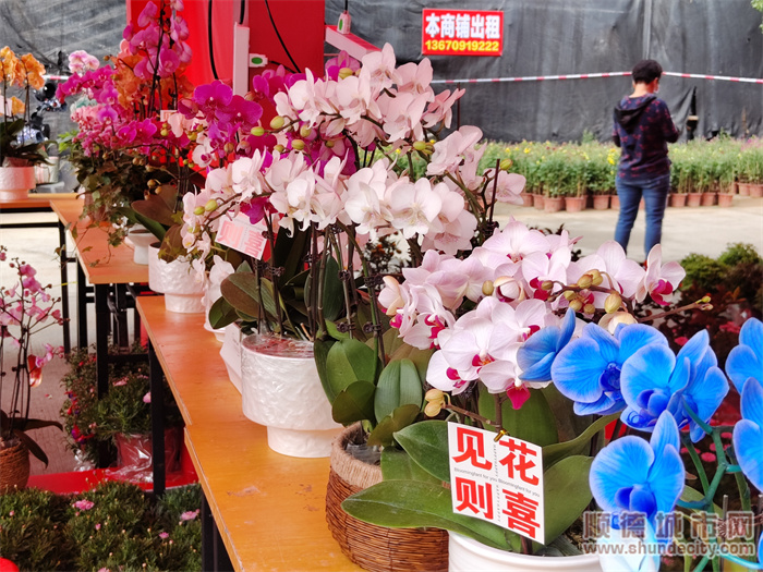 逛花街视频,逛花街的视频
