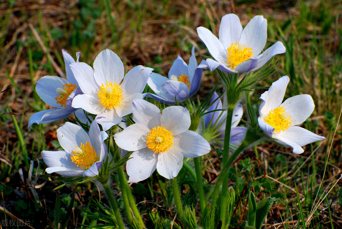 什么叫异性之间相互珍惜,异性之间的真爱