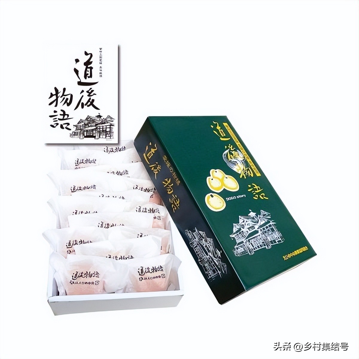 日本爱媛县柑橘,日本爱媛县柑橘研究所