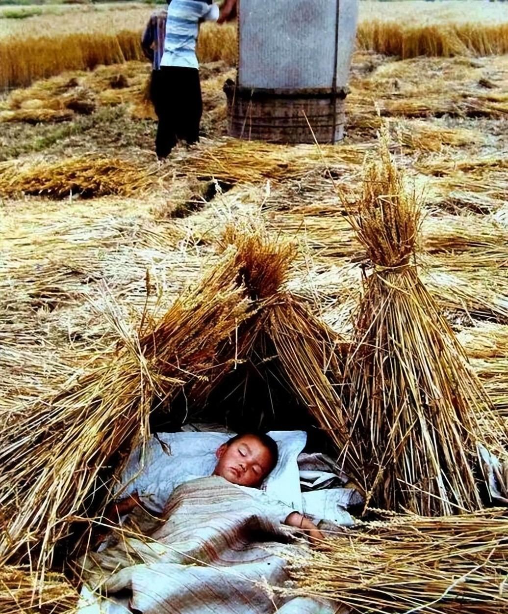 四十年前68张老照片,四十年前老照片大全