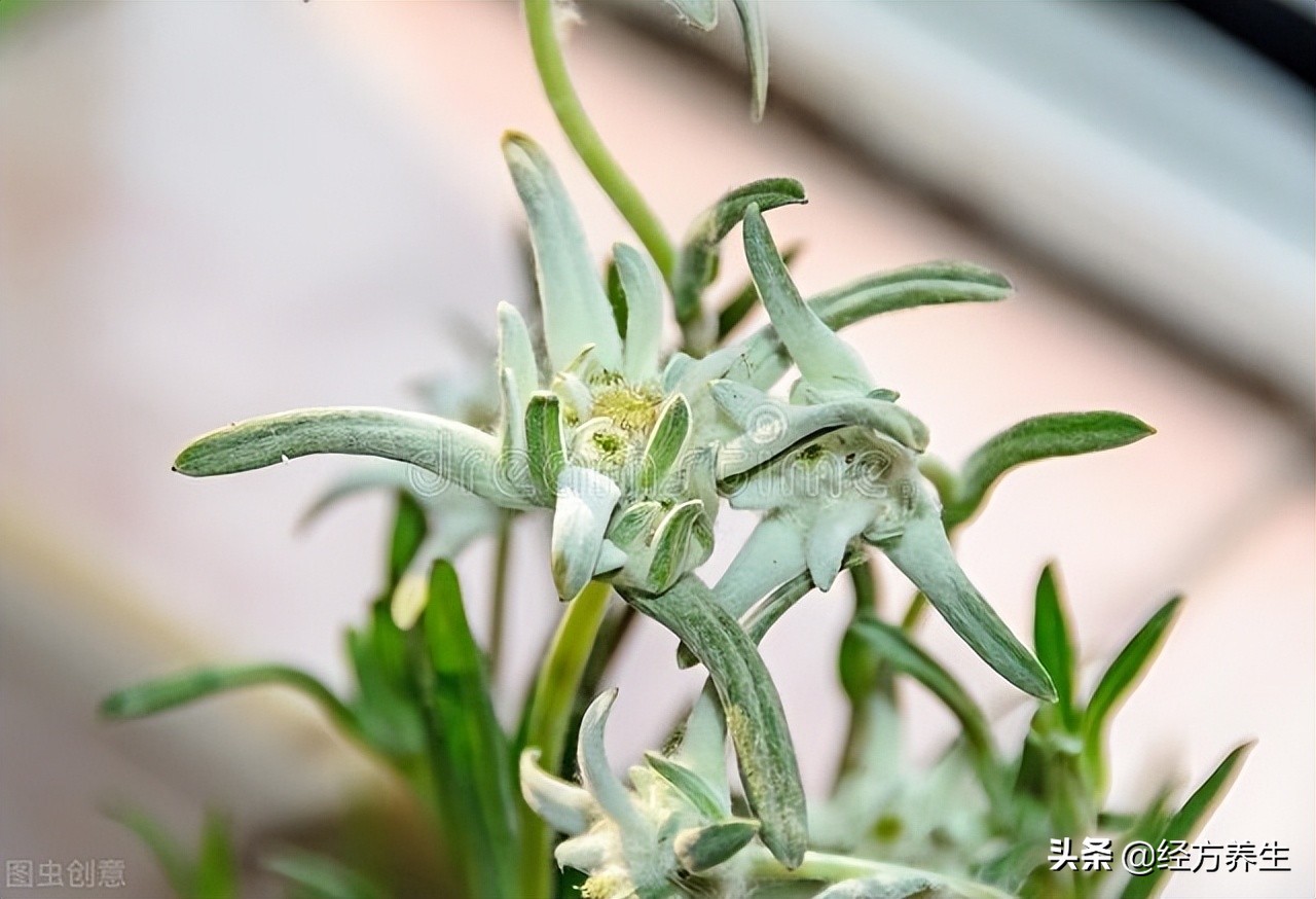 感冒怎样治疗才好得快,如何用最好的方法快速治愈感冒