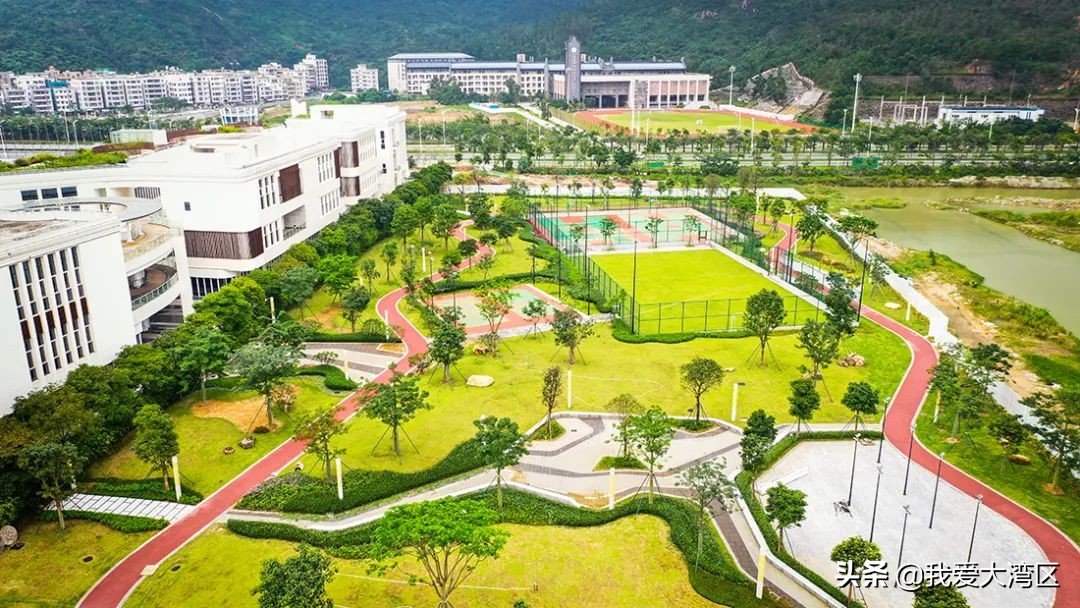 珠海春游赏花,珠海周边踏青景点