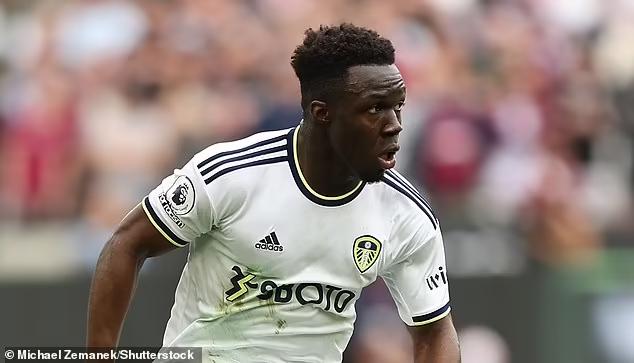 曼联出售新星马奎尔,马奎尔加盟曼联新闻