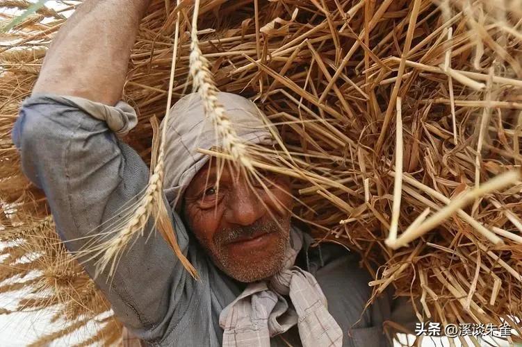 古埃及人都有什么饮食习惯,古代时候在古埃及吃的是什么食物