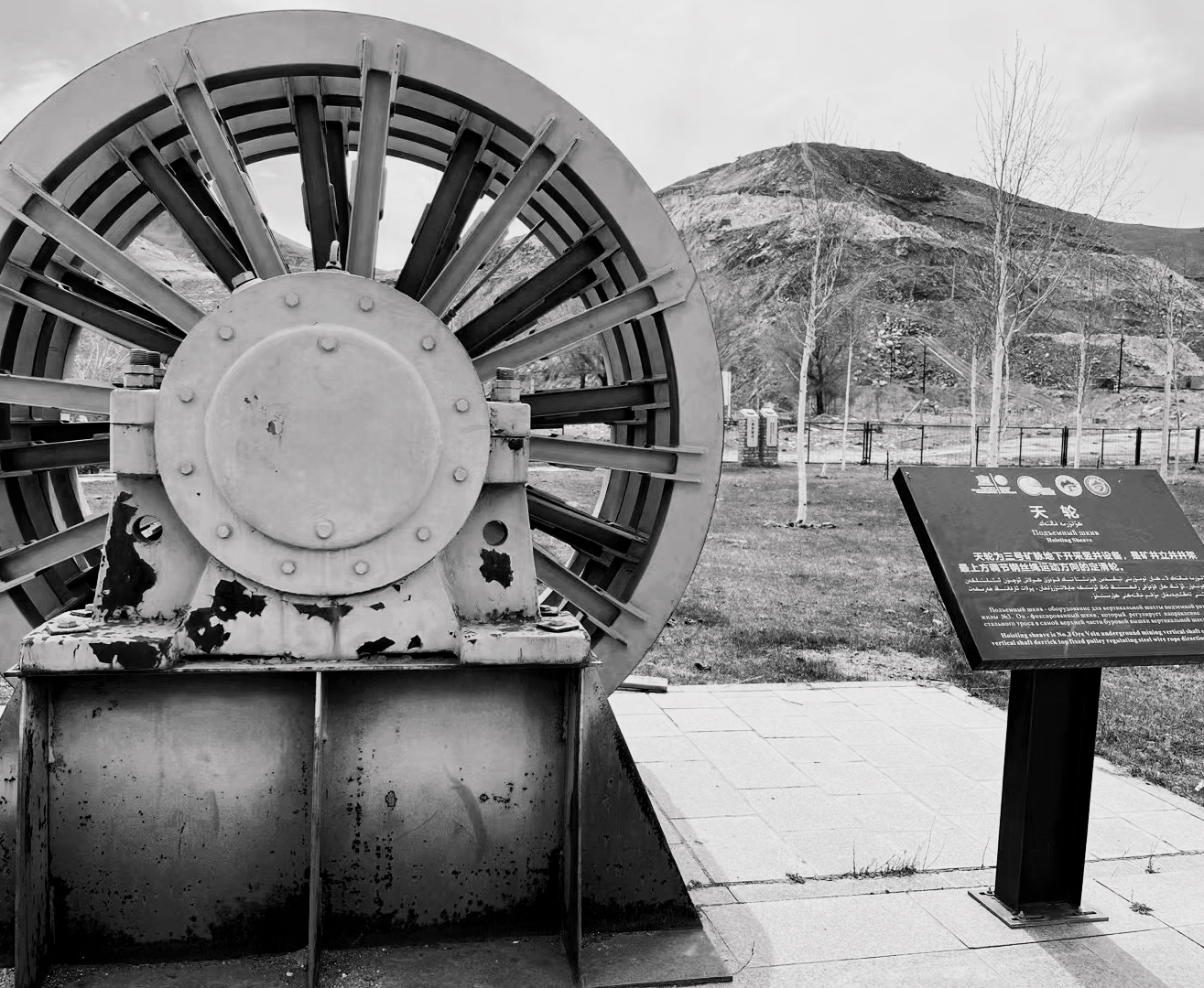 科技成果技术转移,科研平台技术转移