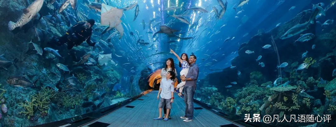 带你一起云游,带你一起去迪拜视频