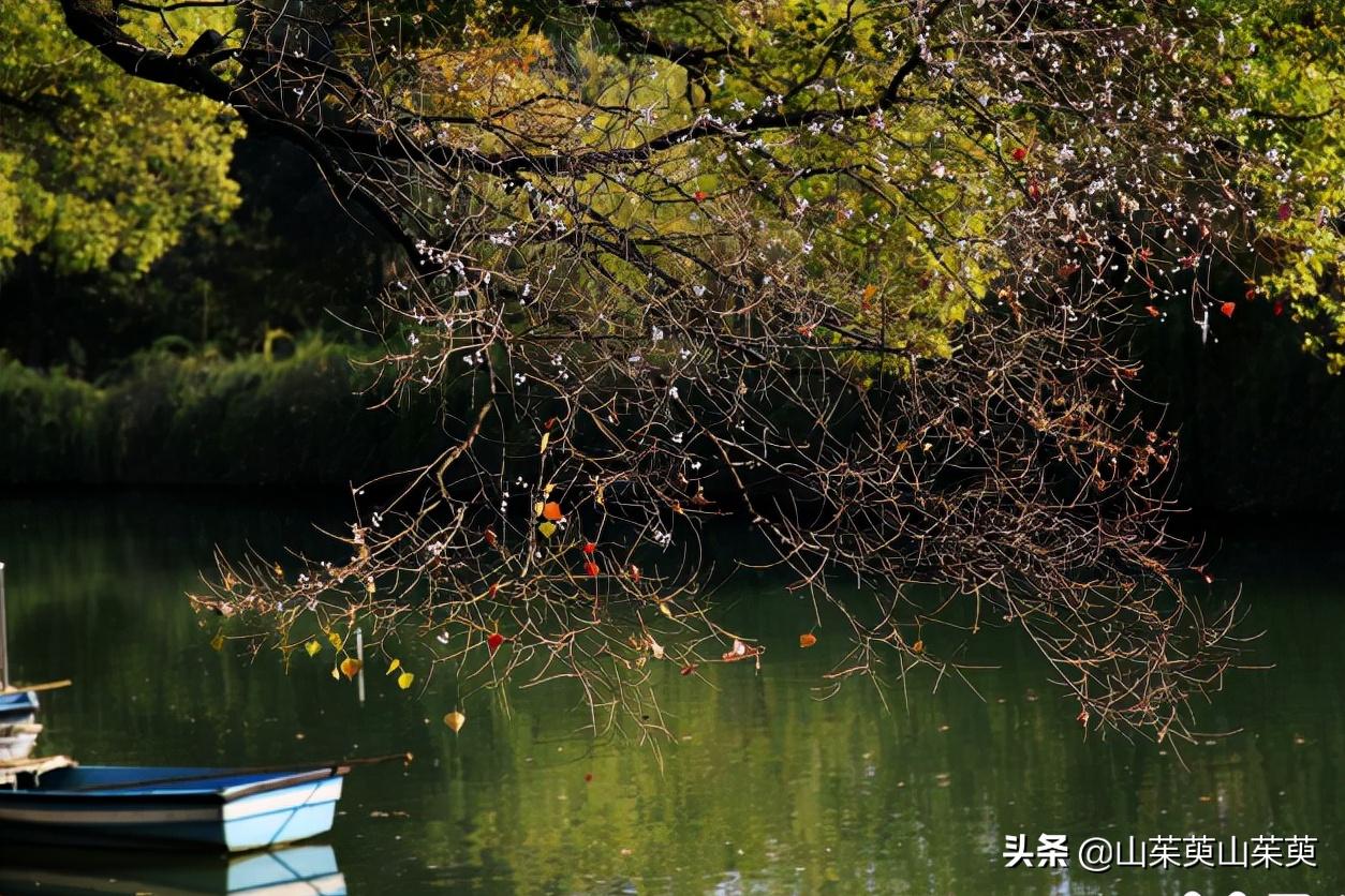 芜湖旅游攻略教堂,芜湖鸠兹风景区
