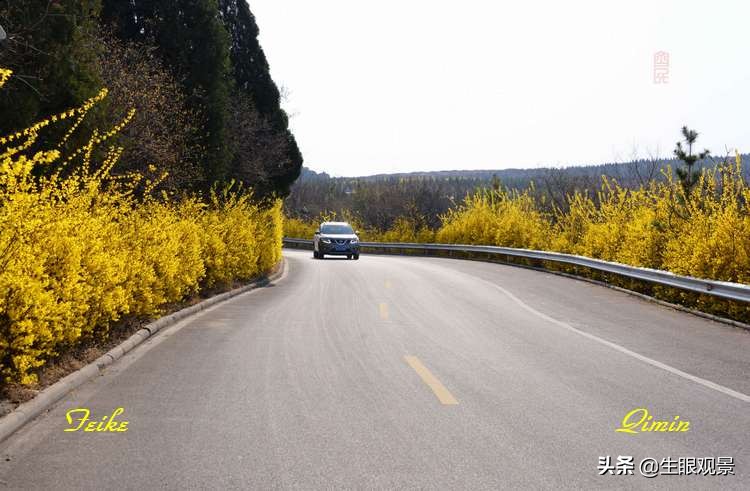 北京近郊春景,济南近郊春景
