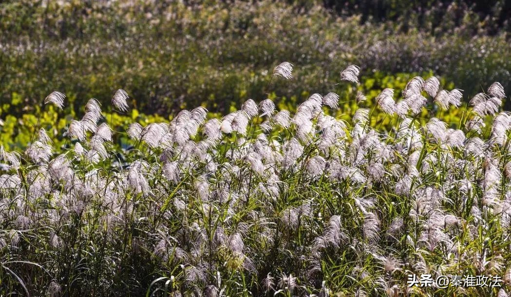 南京地铁一号线游玩攻略最新,南京地铁4号线沿途景点有哪些