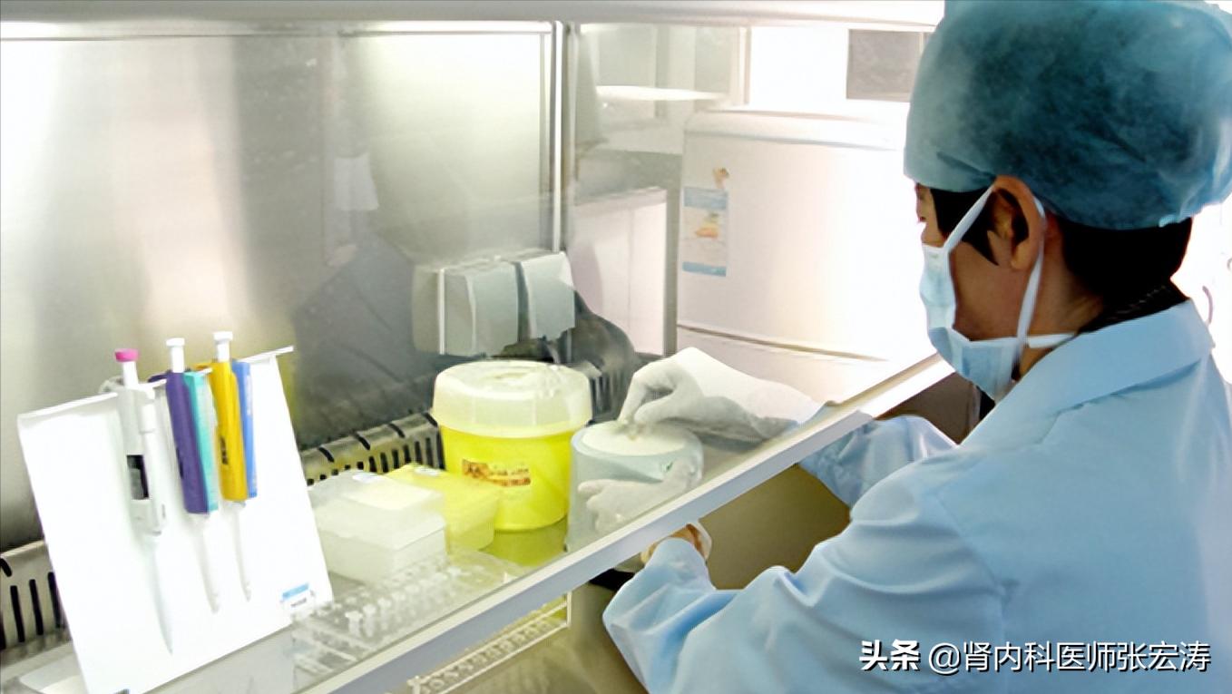 如何读懂尿常规检验报告单,如何读懂尿常规报告单图片