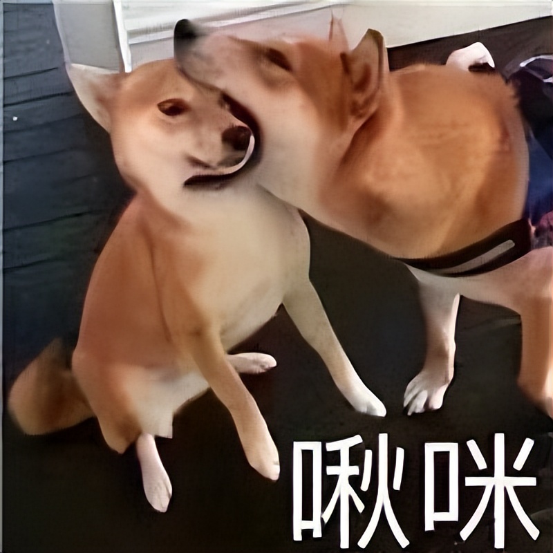 狗狗吃驱虫药拉稀,狗狗拉稀怎么回事啊