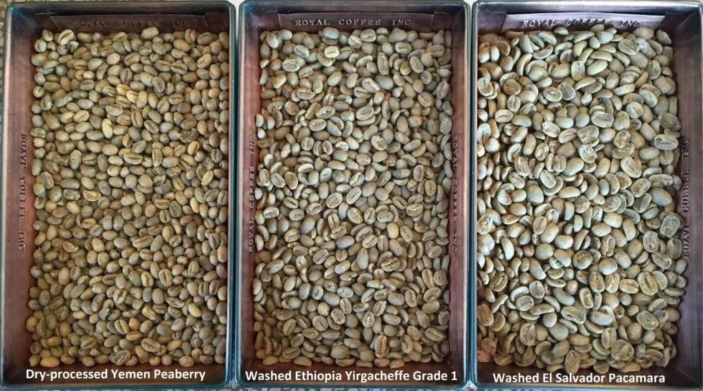 咖啡常识咖啡生豆的五大处理方式,咖啡初学者入门认知咖啡豆