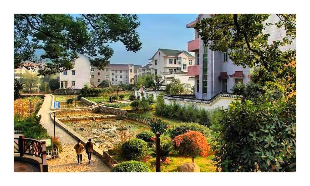 浙江美丽乡村旅游视频,浙江考察美丽乡村建设纪实