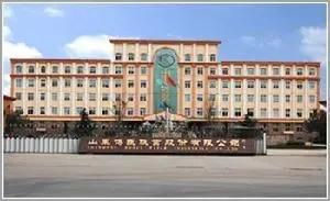 趁虚而入！金光集团强势入主博汇集团，创始人功成身退