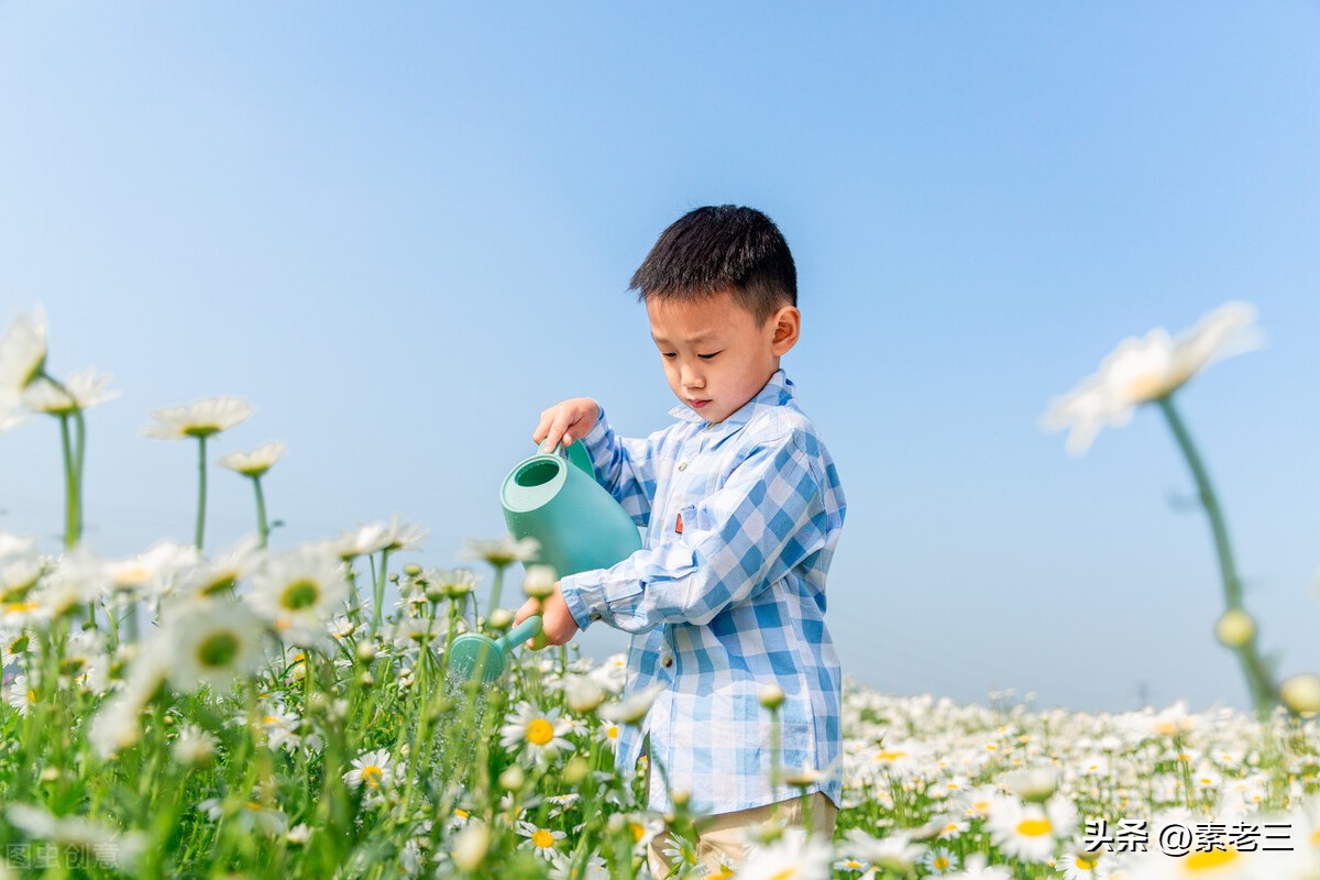 女作家去做保姆407,女作家去做保姆408