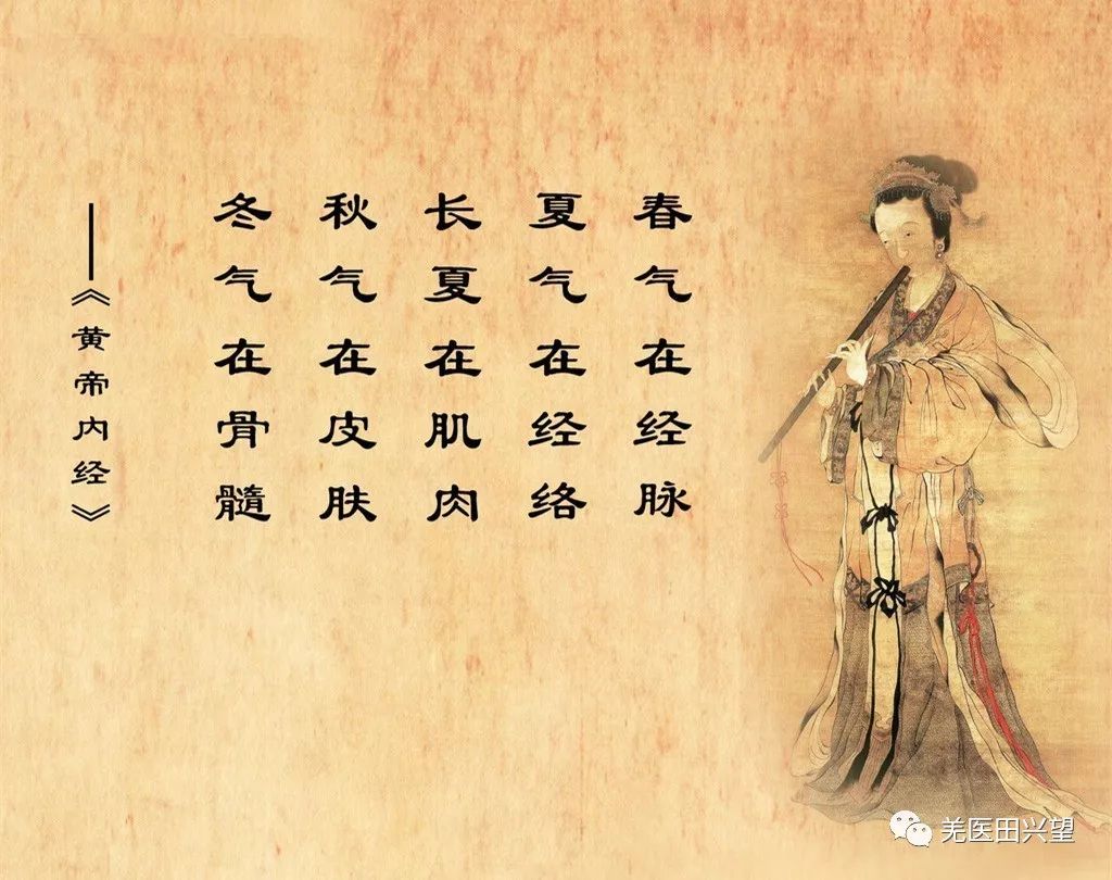 中西医养生保健有哪些区别,中西医的养生保健区别在哪