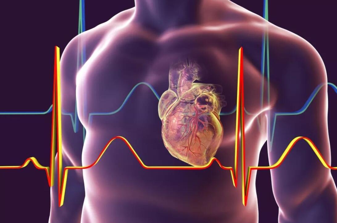 冠心病确诊必须造影吗,心脏造影和冠心病造影